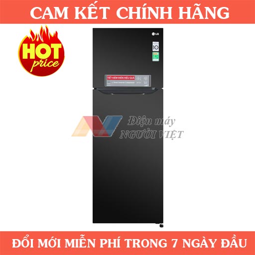 Tủ lạnh LG GN-M315BL inverter 315 lít